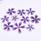 8pcs Pressed flower diy material flowers dried flowers