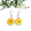 Daisy earrings, flower woman earrings, resin earrings, earrings with real flowers, stainless steel earrings, gifts for her