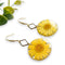 Daisy earrings, flower woman earrings, resin earrings, earrings with real flowers, stainless steel earrings, gifts for her