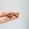 10pcs Fan-shaped Wood Earrings, Earrings Post, Trapezoid Wood Earrings Studs,Diy Jewelry Accessories Craft Supplies