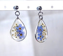 Drop resin earrings with forget-me-not flowers. Forget-me-not earrings and white lace. Real flowers do not forget me.