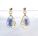 Drop resin earrings with forget-me-not flowers. Forget-me-not earrings and white lace. Real flowers do not forget me.