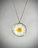 Resin pendant with real daisy, necklace with real flower