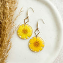 Daisy earrings, flower woman earrings, resin earrings, earrings with real flowers, stainless steel earrings, gifts for her