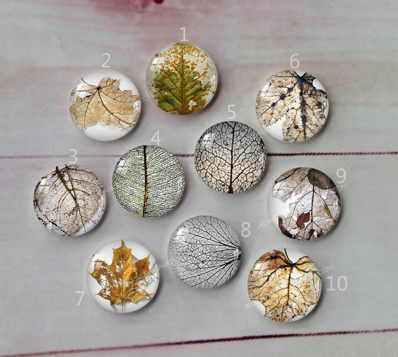 Handmade Round Photo Glass Cabochon Leaves A274