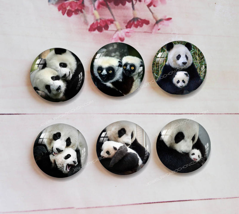 Handmade Round Photo Glass Cabochon panda A348