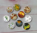 Handmade Round Photo Glass Cabochon Leaves A397