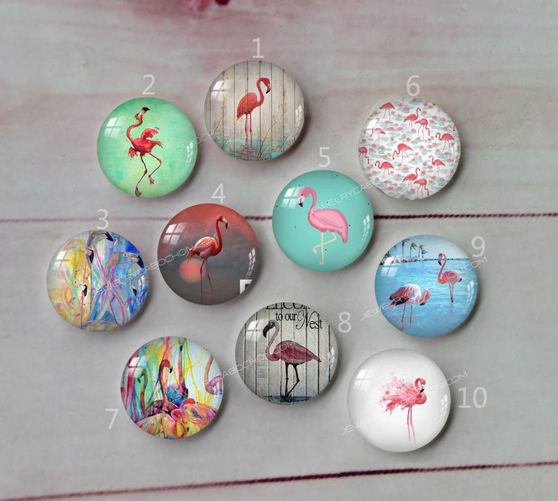 Handmade Round Photo Glass Cabochon animal A402