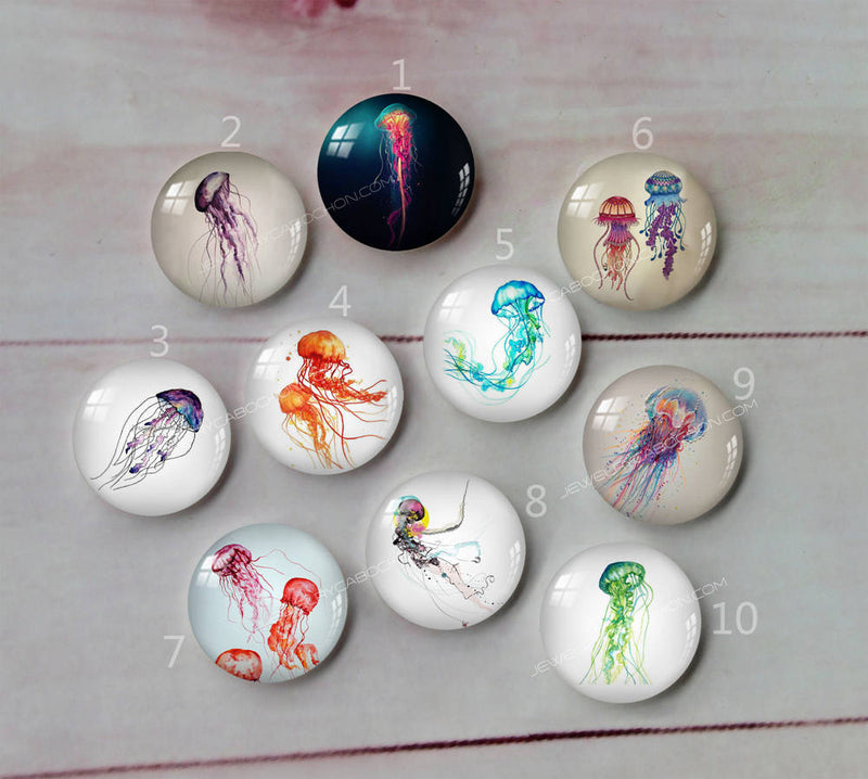 Handmade Round Photo Glass Cabochon animal A407