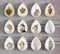 Handmade Teardrop Photo Glass Cabochons Plant Leaves A628