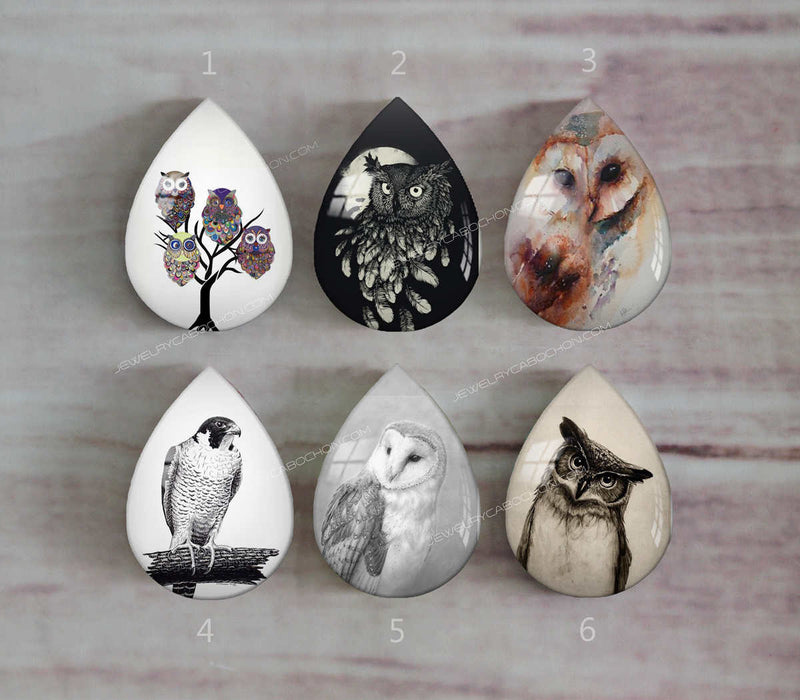 Handmade Teardrop Photo Glass Cabochons animal eagle A497