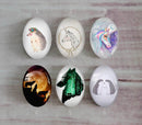 Handmade oval Photo Glass Cabochons animal A405