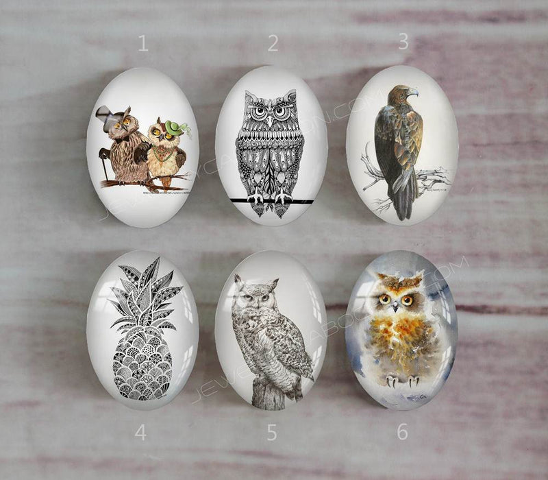 Handmade oval Photo Glass Cabochons animal eagle A491