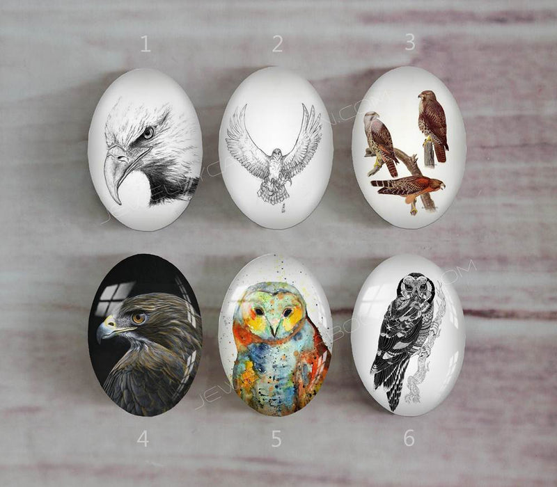 Handmade oval Photo Glass Cabochons animal eagle A493