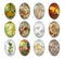 Handmade oval Photo Glass Cabochons Leaves flower A650