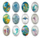 Handmade oval Photo Glass Cabochons Jellyfish A653