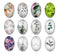 Handmade oval Photo Glass Cabochons plant flower A700