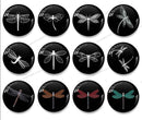 Handmade Round Photo Glass Cabochon dragonfly 1035B