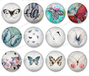 Handmade Round Photo Glass Cabochon butterfly 1037B