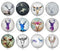 Handmade Round Photo Glass Cabochon deer 1042B