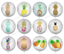 Handmade Round Photo Glass Cabochon pineapple 1047B