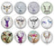 Handmade Round Photo Glass Cabochon animal deer 1069B