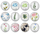 Handmade Round Photo Glass Cabochon flower Leaves 1130B