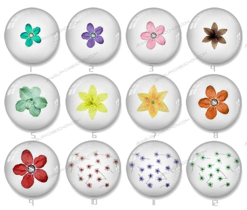 Handmade Round Photo Glass Cabochon flower Leaves 1134B