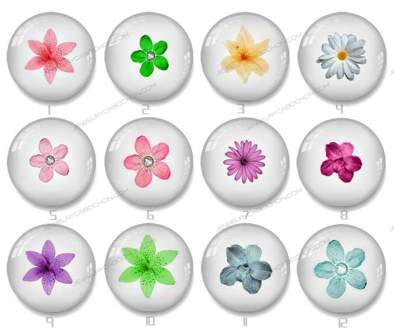 Handmade Round Photo Glass Cabochon flower Leaves 1137B