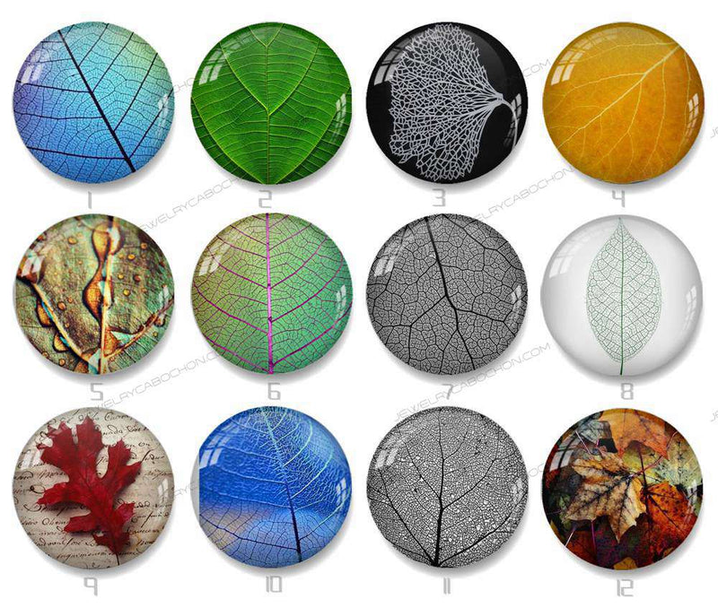 Handmade Round Photo Glass Cabochon Leaves 1144B