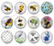 Handmade Round Photo Glass Cabochon bee 1166B