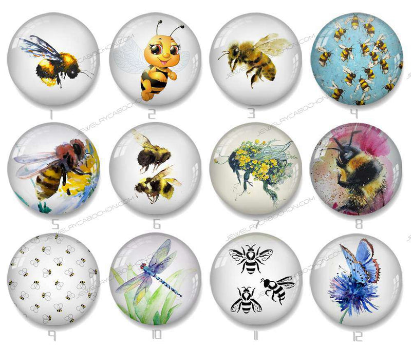 Handmade Round Photo Glass Cabochon bee 1166B