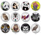 Handmade Round Photo Glass Cabochon panda 1169B