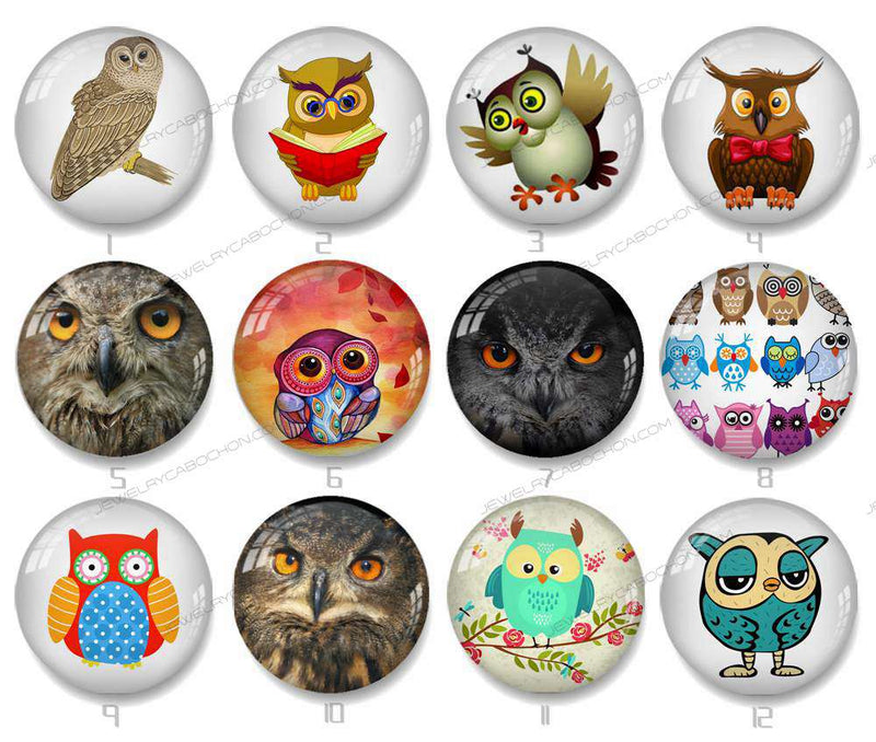 Handmade Round Photo Glass Cabochon owl 1171B