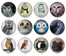 Handmade Round Photo Glass Cabochon owl 1173B