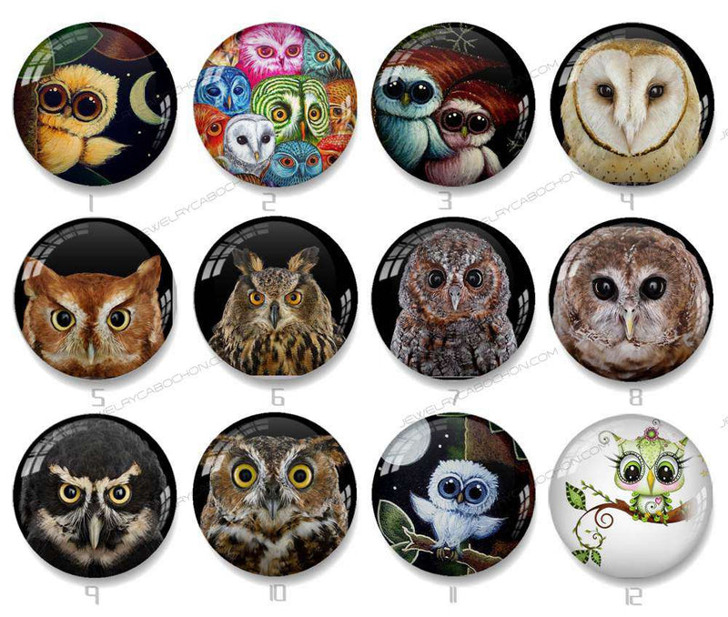 Handmade Round Photo Glass Cabochon owl 1237B