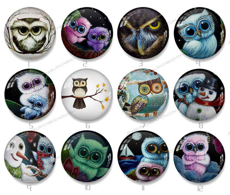 Handmade Round Photo Glass Cabochon owl 1238B