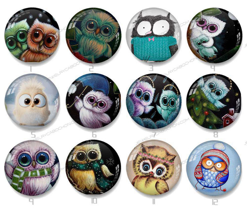 Handmade Round Photo Glass Cabochon owl 1240B