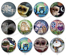 Handmade Round Photo Glass Cabochon owl 1241B