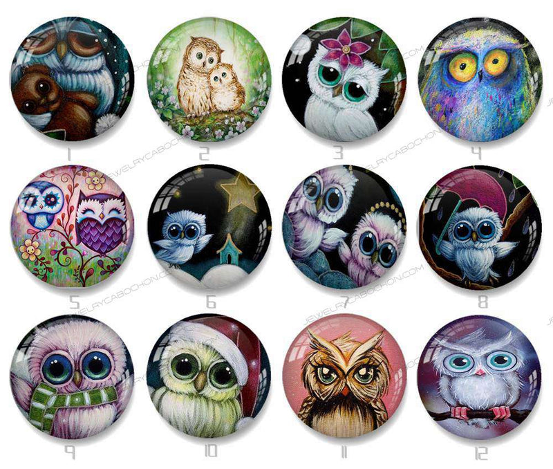 Handmade Round Photo Glass Cabochon owl 1243B