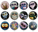 Handmade Round Photo Glass Cabochon owl 1244B