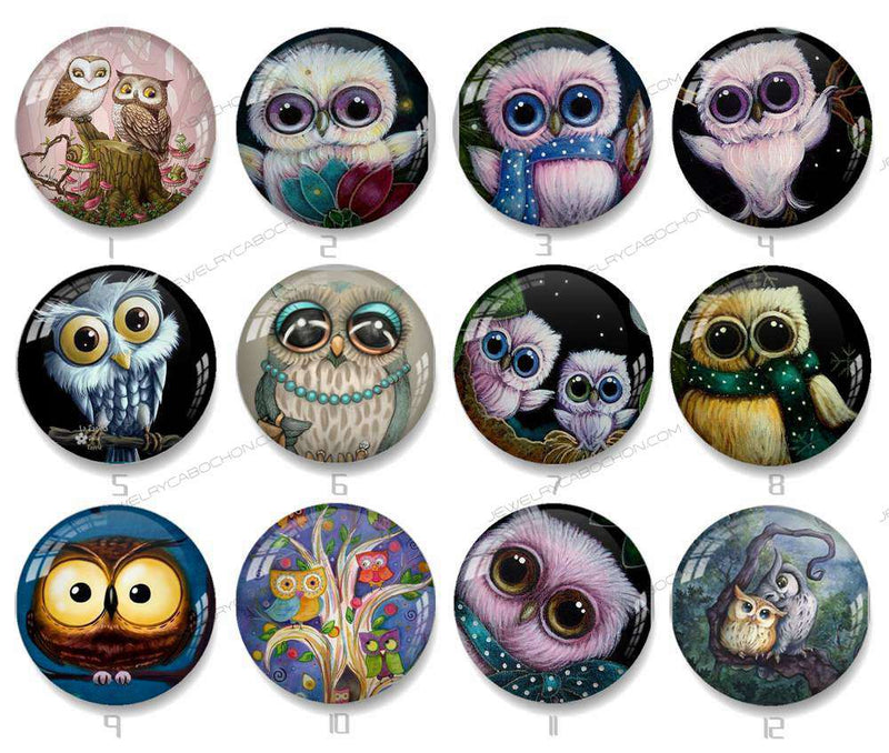 Handmade Round Photo Glass Cabochon owl 1244B