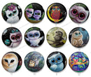 Handmade Round Photo Glass Cabochon owl 1245B