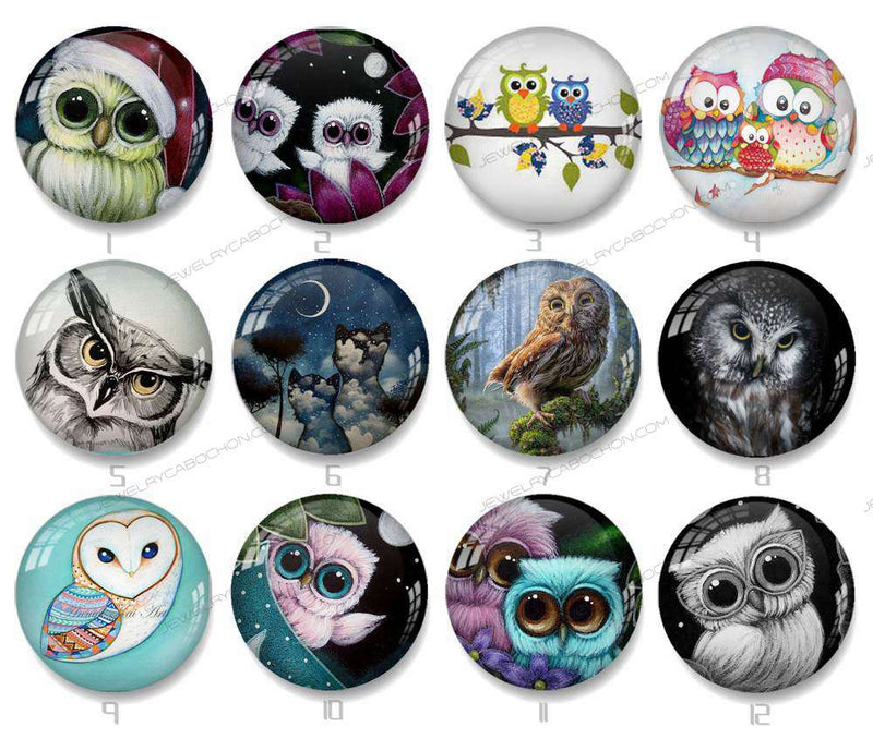 Handmade Round Photo Glass Cabochon owl 1246B