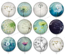 Handmade Round Photo Glass Cabochon Dandelion 1250B