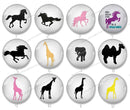 Handmade Round Photo Glass Cabochon Animal horse 1251B