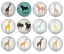 Handmade Round Photo Glass Cabochon giraffe 1252B