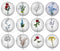 Handmade Round Photo Glass Cabochon flower 1376B