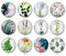 Handmade Round Photo Glass Cabochon Leaves 1382B