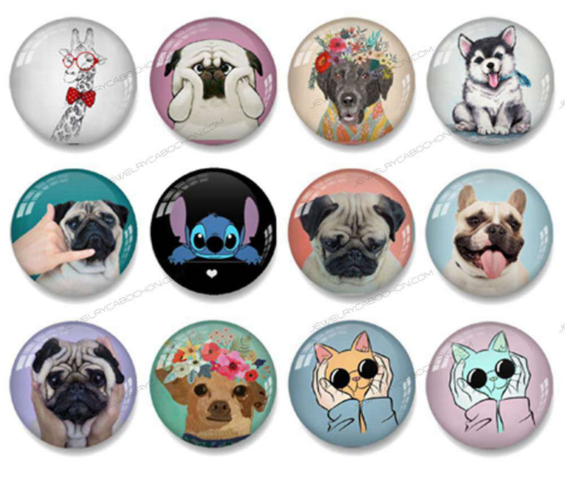 Handmade Round Photo Glass Cabochon animal 1437B